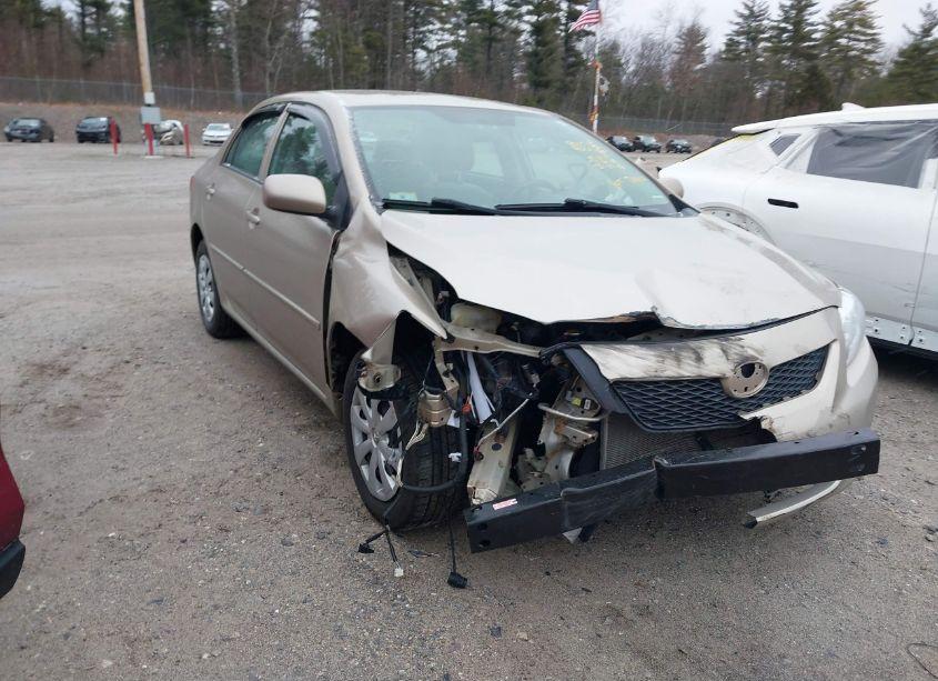 Photo 6 of 2010 Toyota Corolla LE (VIN 2T1BU4EE3AC327783)