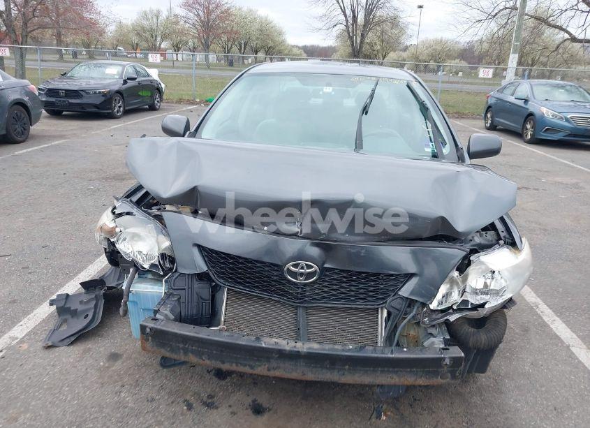 Photo 13 of 2010 Toyota Corolla LE (VIN 2T1BU4EE3AC349671)