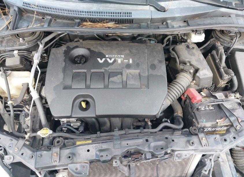 Photo 10 of 2010 Toyota Corolla LE (VIN 2T1BU4EE3AC371749)