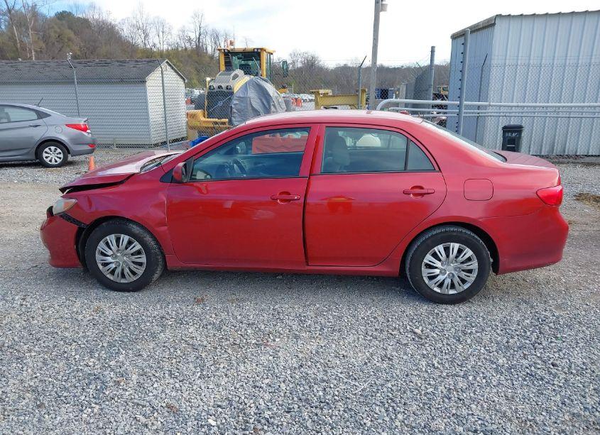 Photo 14 of 2010 Toyota Corolla LE (VIN 2T1BU4EE3AC374697)