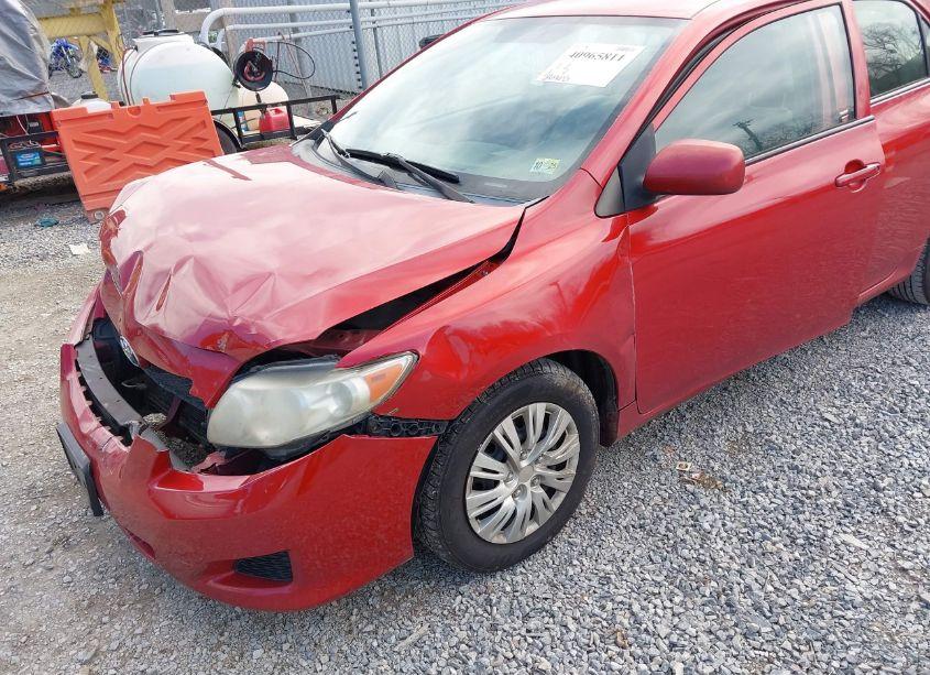 Photo 18 of 2010 Toyota Corolla LE (VIN 2T1BU4EE3AC374697)