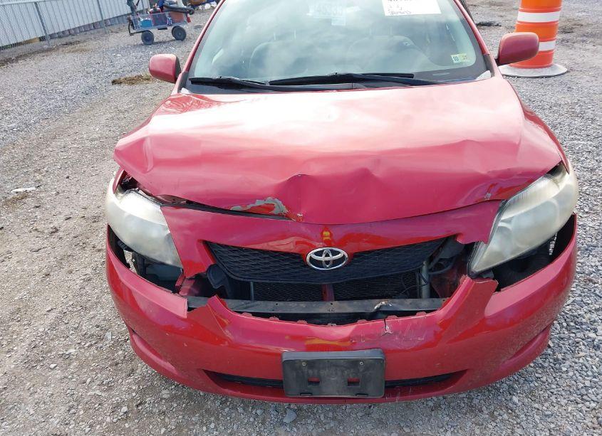 Photo 6 of 2010 Toyota Corolla LE (VIN 2T1BU4EE3AC374697)