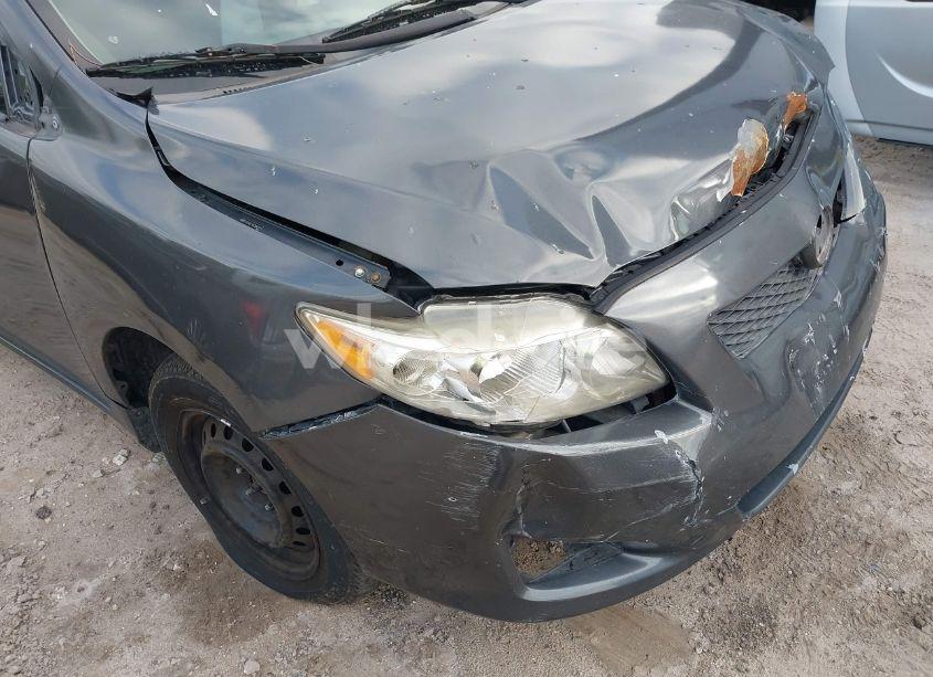 Photo 13 of 2010 Toyota Corolla LE (VIN 2T1BU4EE3AC506227)