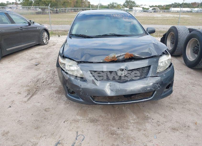 Photo 6 of 2010 Toyota Corolla LE (VIN 2T1BU4EE3AC506227)