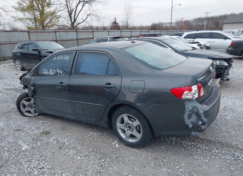 Photo 14 of 2010 Toyota Corolla LE (VIN 2T1BU4EE3AC528776)