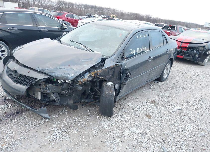 Photo 2 of 2010 Toyota Corolla LE (VIN 2T1BU4EE3AC528776)