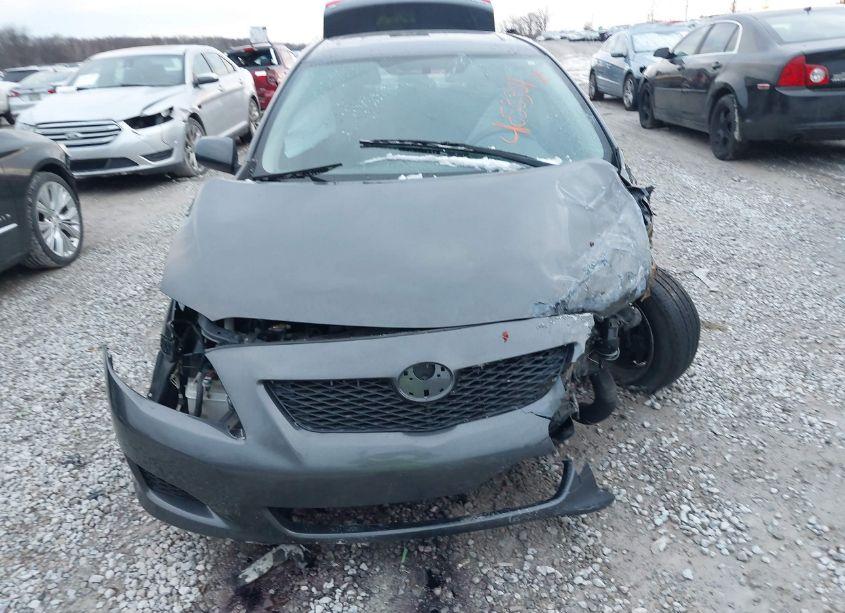 Photo 6 of 2010 Toyota Corolla LE (VIN 2T1BU4EE3AC528776)