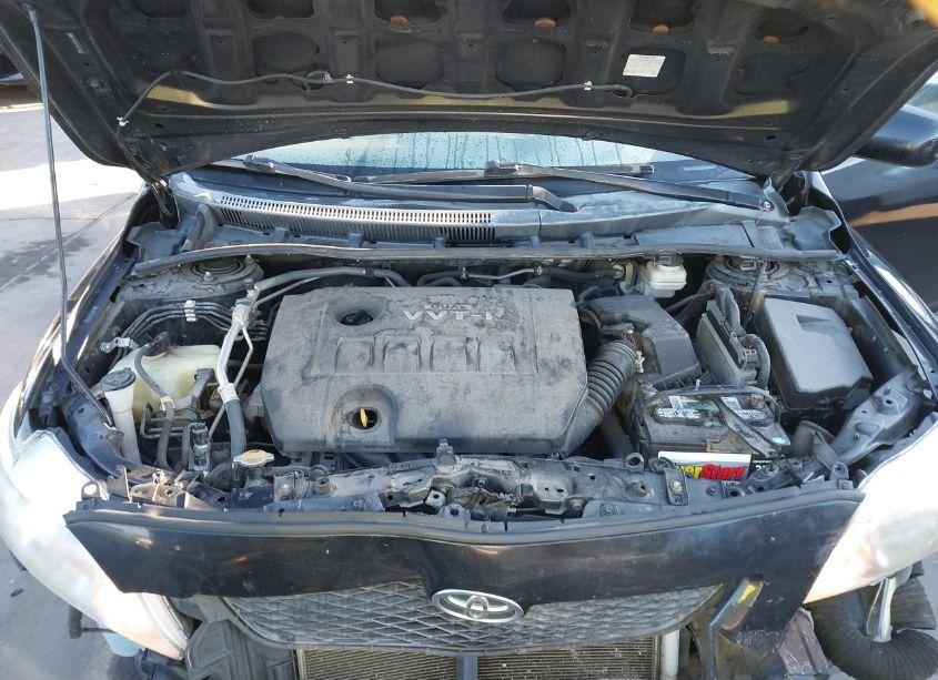 Photo 10 of 2010 Toyota Corolla LE (VIN 2T1BU4EE3AC535503)