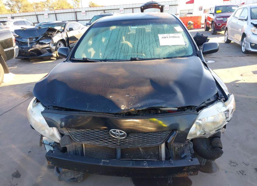 Photo 12 of 2010 Toyota Corolla LE (VIN 2T1BU4EE3AC535503)