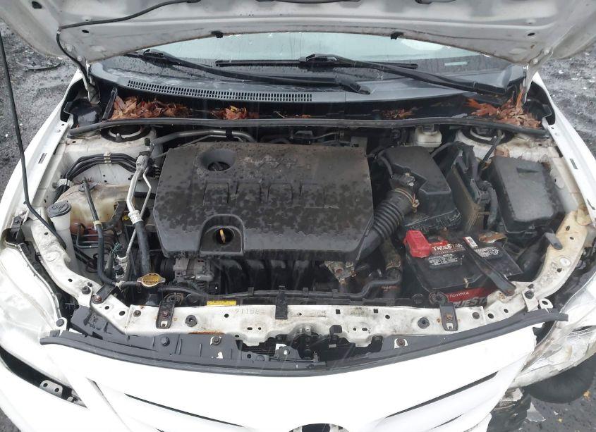 Photo 10 of 2011 Toyota Corolla LE (VIN 2T1BU4EE3BC654766)