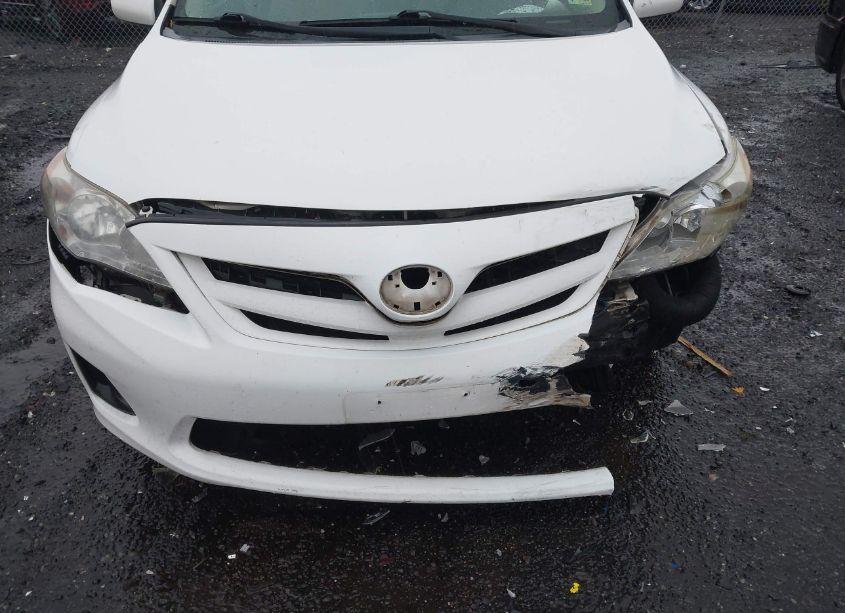 Photo 6 of 2011 Toyota Corolla LE (VIN 2T1BU4EE3BC654766)