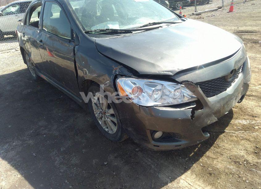 Photo 6 of 2010 Toyota Corolla S (VIN 2T1BU4EE4AC201609)