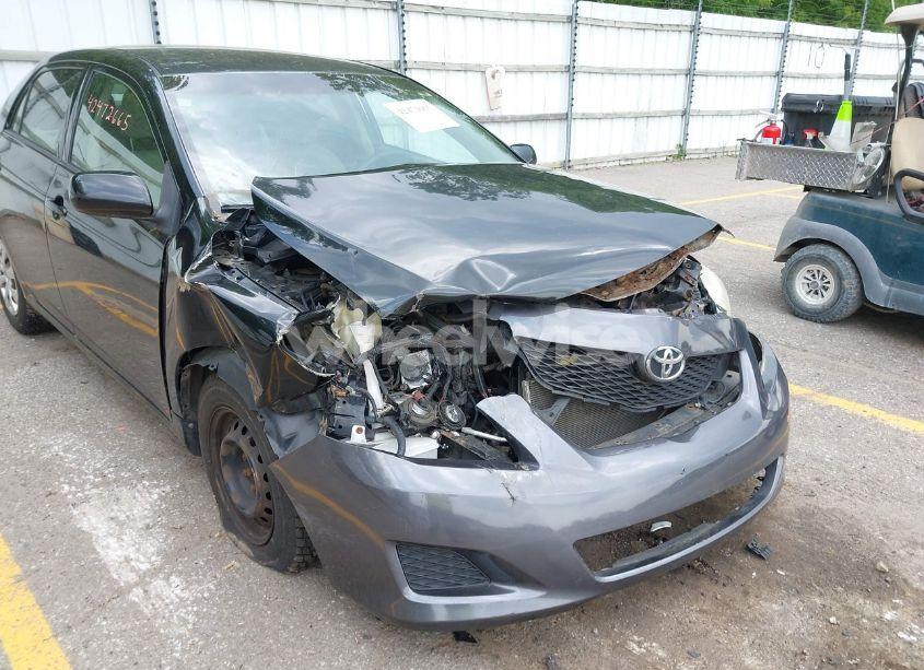 Photo 6 of 2010 Toyota Corolla LE (VIN 2T1BU4EE4AC257808)