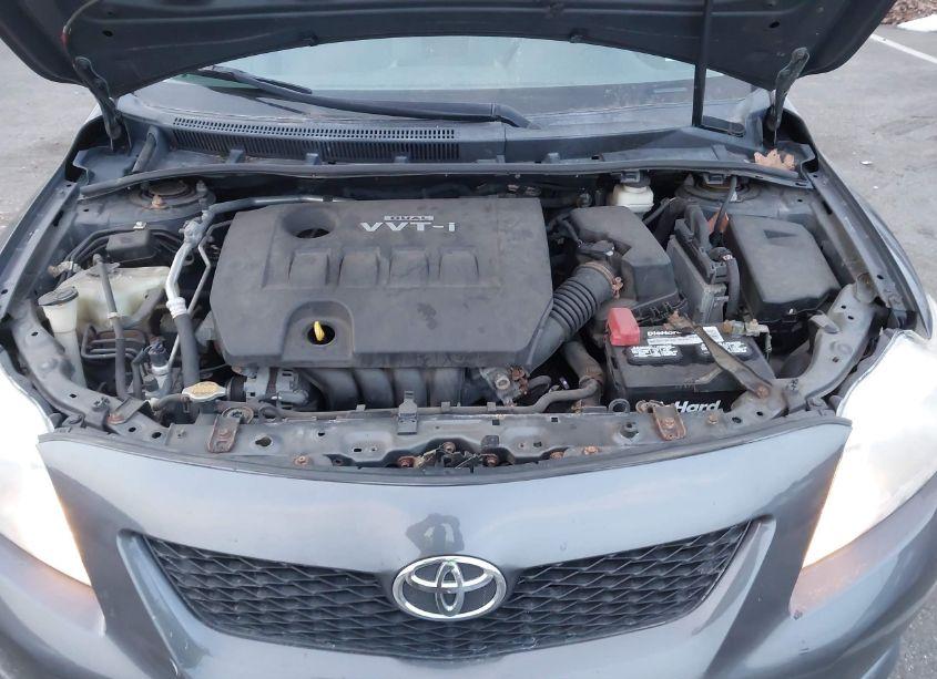 Photo 10 of 2010 Toyota Corolla LE (VIN 2T1BU4EE4AC268470)
