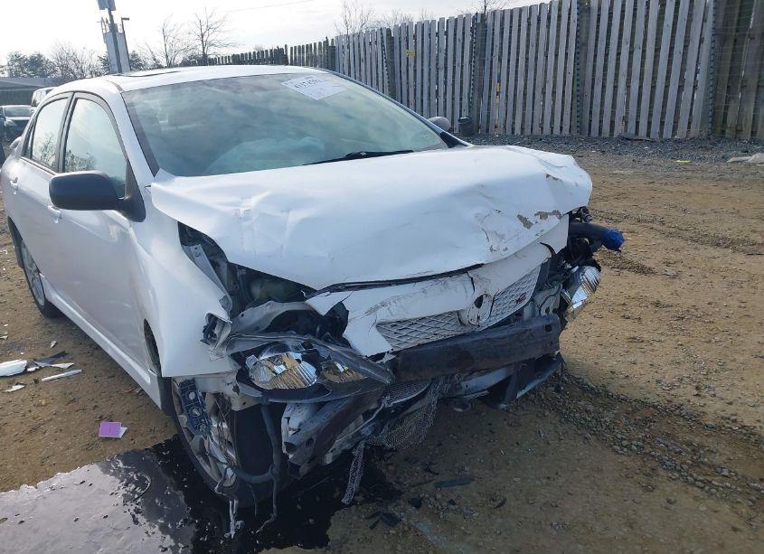 Photo 6 of 2010 Toyota Corolla S (VIN 2T1BU4EE4AC287763)