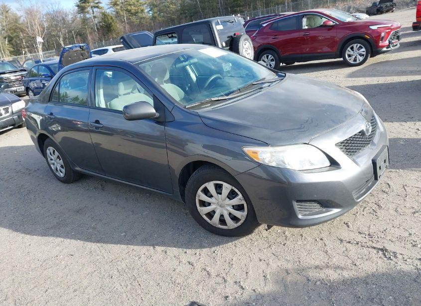 2010 Toyota Corolla LE (VIN 2T1BU4EE4AC291117) main photo