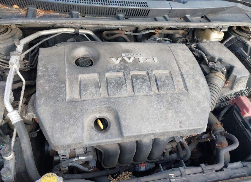 Photo 10 of 2010 Toyota Corolla LE (VIN 2T1BU4EE4AC291117)