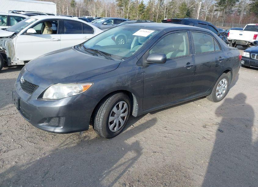 Photo 2 of 2010 Toyota Corolla LE (VIN 2T1BU4EE4AC291117)