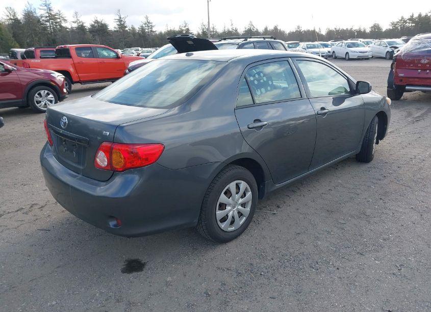 Photo 4 of 2010 Toyota Corolla LE (VIN 2T1BU4EE4AC291117)
