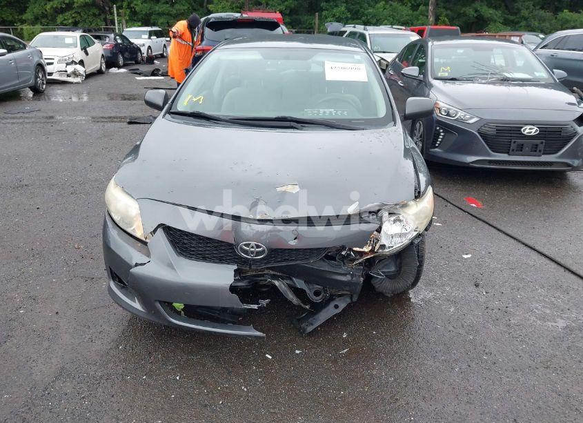 Photo 13 of 2010 Toyota Corolla LE (VIN 2T1BU4EE4AC296690)