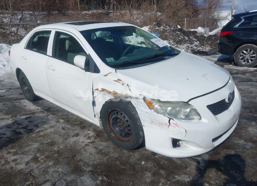 2010 Toyota Corolla S/LE/XLE (VIN 2T1BU4EE4AC305484) main photo
