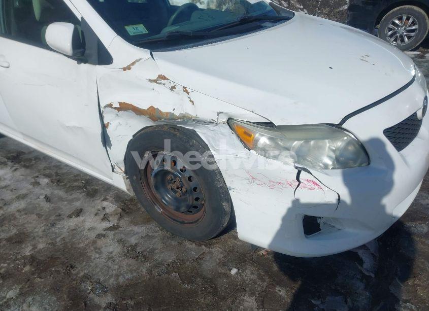 Photo 6 of 2010 Toyota Corolla S/LE/XLE (VIN 2T1BU4EE4AC305484)