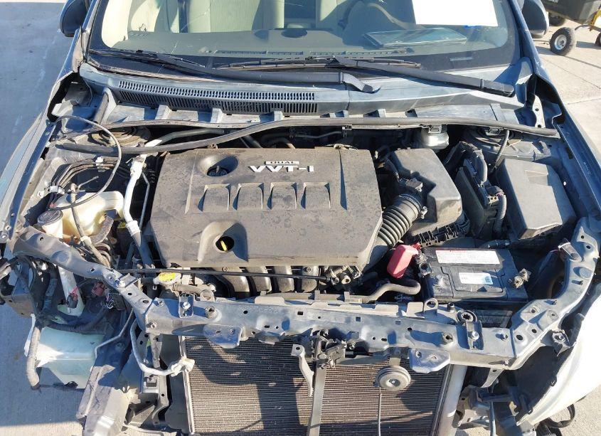 Photo 10 of 2010 Toyota Corolla LE (VIN 2T1BU4EE4AC307767)