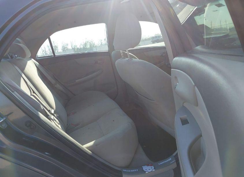 Photo 8 of 2010 Toyota Corolla LE (VIN 2T1BU4EE4AC307767)