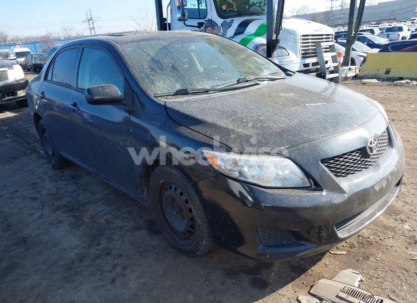 2010 Toyota Corolla LE (VIN 2T1BU4EE4AC344981) main photo