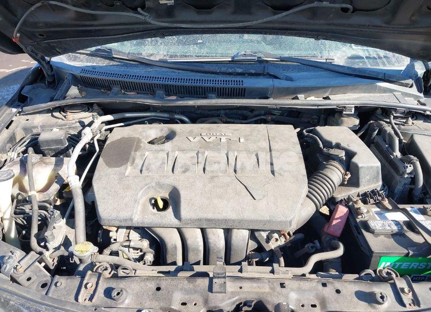 Photo 10 of 2010 Toyota Corolla LE (VIN 2T1BU4EE4AC344981)