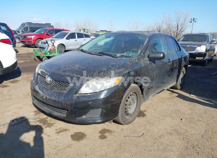 Photo 2 of 2010 Toyota Corolla LE (VIN 2T1BU4EE4AC344981)