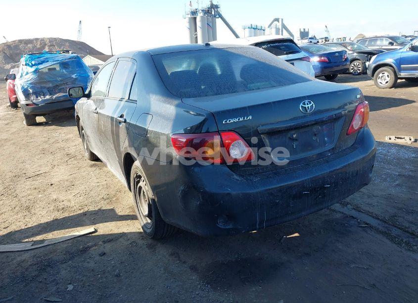 Photo 3 of 2010 Toyota Corolla LE (VIN 2T1BU4EE4AC344981)