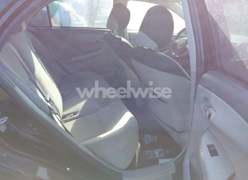 Photo 8 of 2010 Toyota Corolla LE (VIN 2T1BU4EE4AC344981)