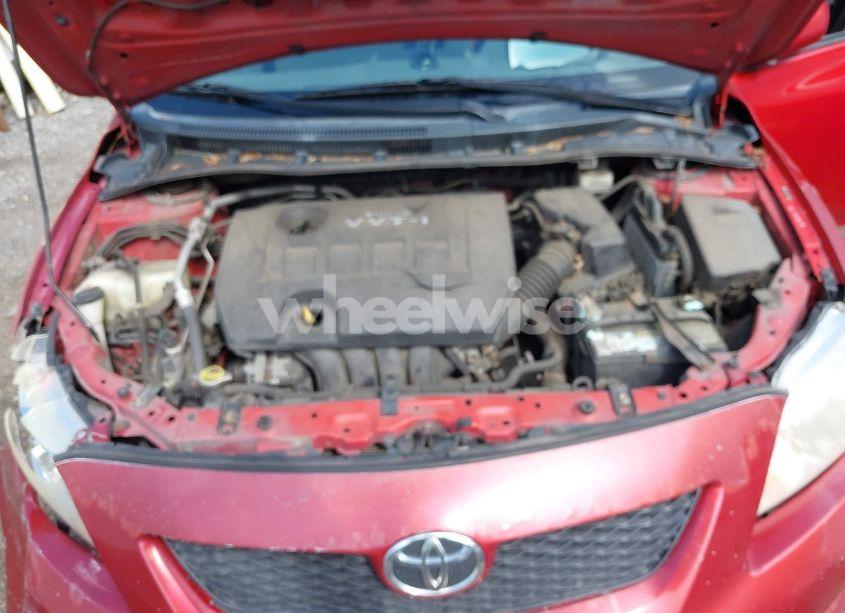 Photo 10 of 2010 Toyota Corolla LE (VIN 2T1BU4EE4AC408873)