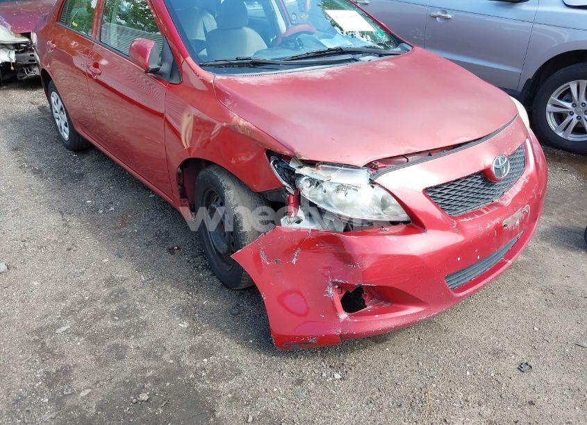 Photo 6 of 2010 Toyota Corolla LE (VIN 2T1BU4EE4AC408873)