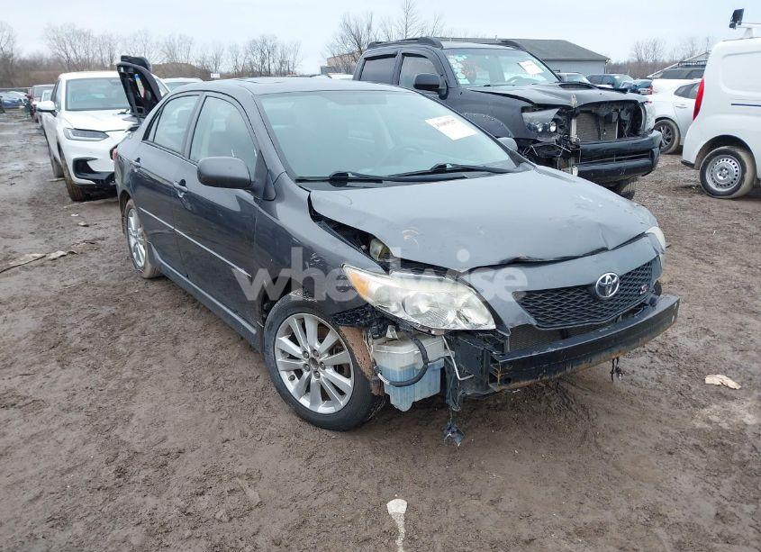 2010 Toyota Corolla S (VIN 2T1BU4EE4AC409523) main photo