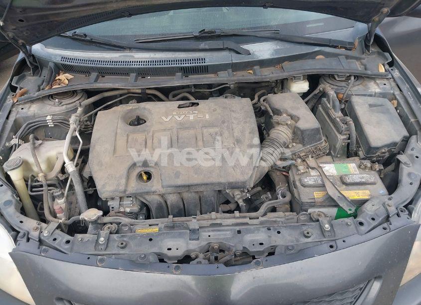 Photo 10 of 2010 Toyota Corolla S (VIN 2T1BU4EE4AC451836)