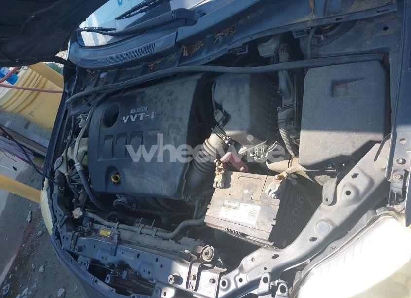 Photo 10 of 2010 Toyota Corolla S (VIN 2T1BU4EE4AC499577)