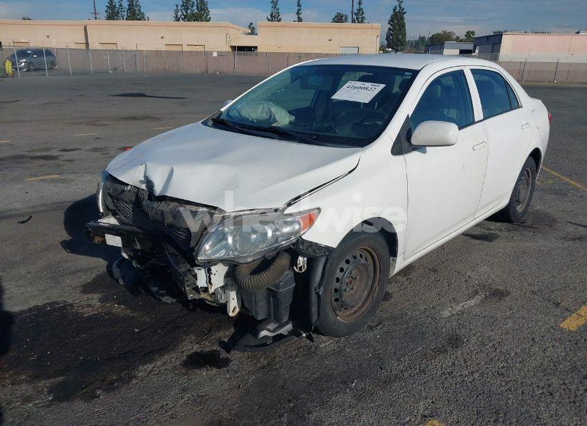 Photo 2 of 2010 Toyota Corolla LE (VIN 2T1BU4EE4AC502218)