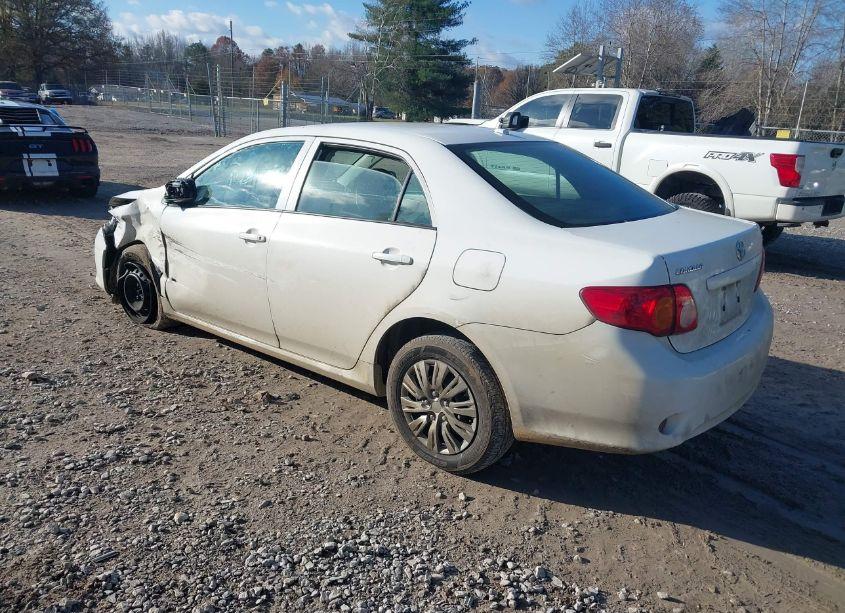 Photo 3 of 2010 Toyota Corolla LE (VIN 2T1BU4EE4AC518550)