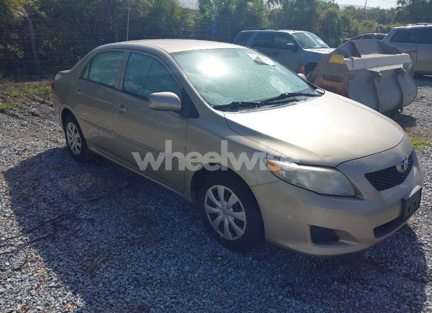 2010 Toyota Corolla LE (VIN 2T1BU4EE4AC523764) main photo