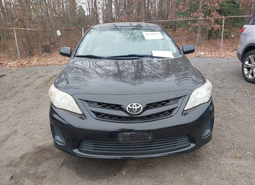 Photo 12 of 2011 Toyota Corolla LE (VIN 2T1BU4EE4BC672452)