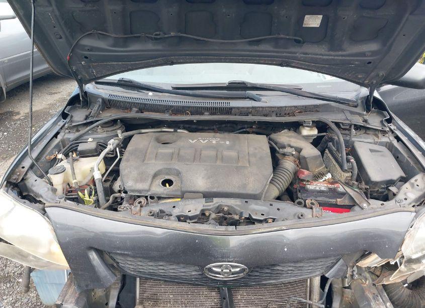 Photo 10 of 2010 Toyota Corolla LE (VIN 2T1BU4EE5AC253489)