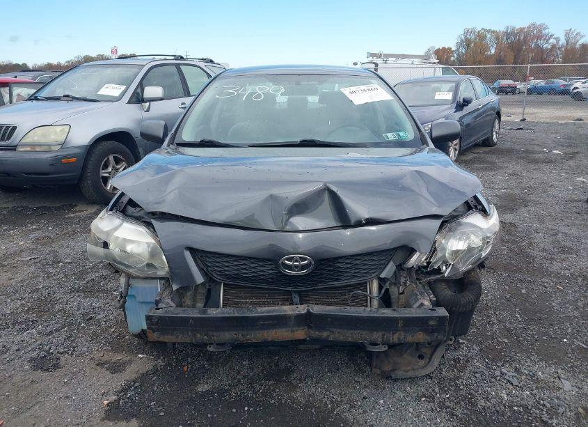 Photo 12 of 2010 Toyota Corolla LE (VIN 2T1BU4EE5AC253489)