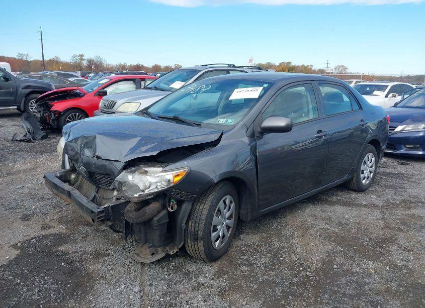 Photo 6 of 2010 Toyota Corolla LE (VIN 2T1BU4EE5AC253489)