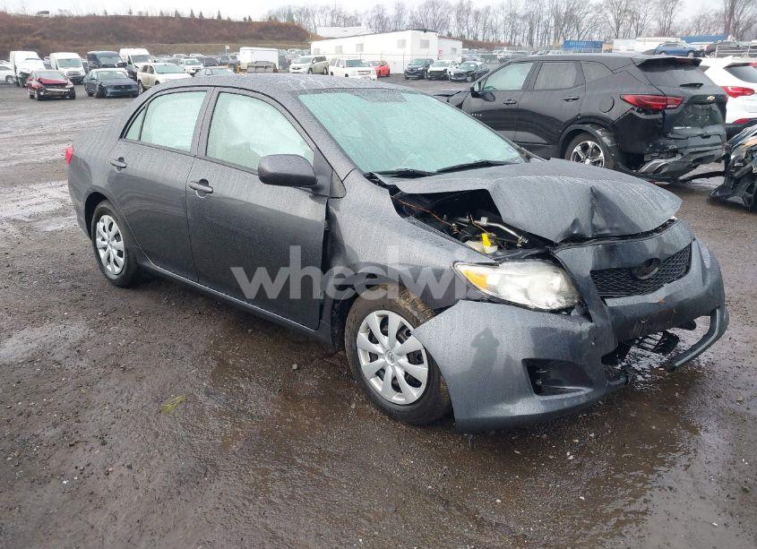 2010 Toyota Corolla LE (VIN 2T1BU4EE5AC265092) main photo