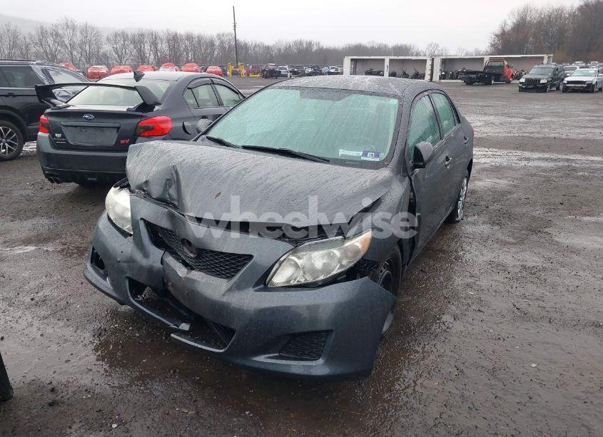 Photo 13 of 2010 Toyota Corolla LE (VIN 2T1BU4EE5AC265092)