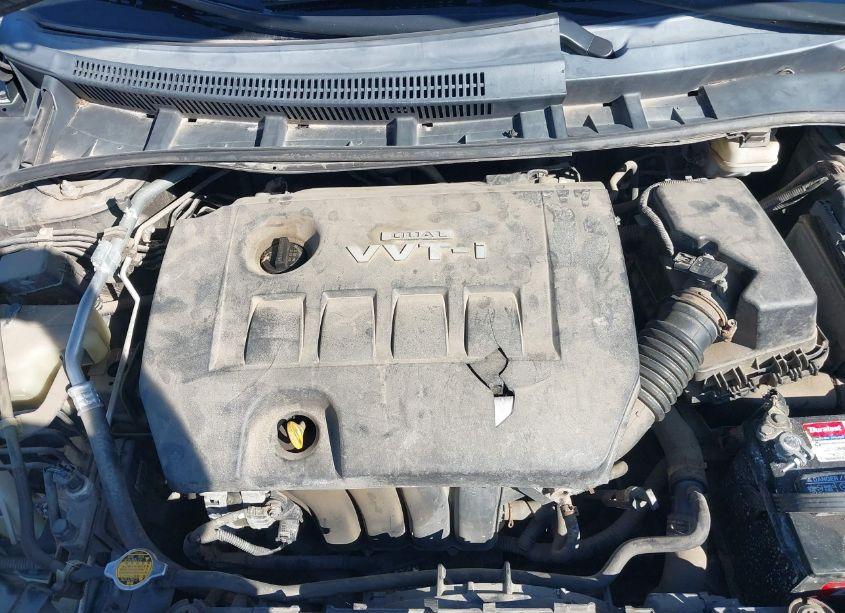 Photo 10 of 2010 Toyota Corolla LE (VIN 2T1BU4EE5AC272446)