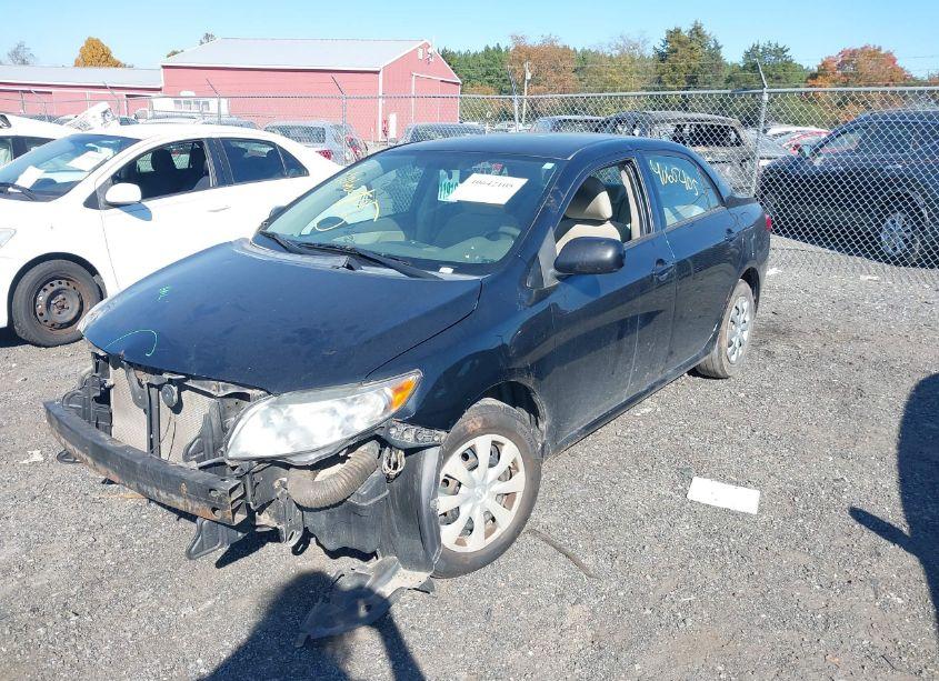 Photo 2 of 2010 Toyota Corolla LE (VIN 2T1BU4EE5AC272446)