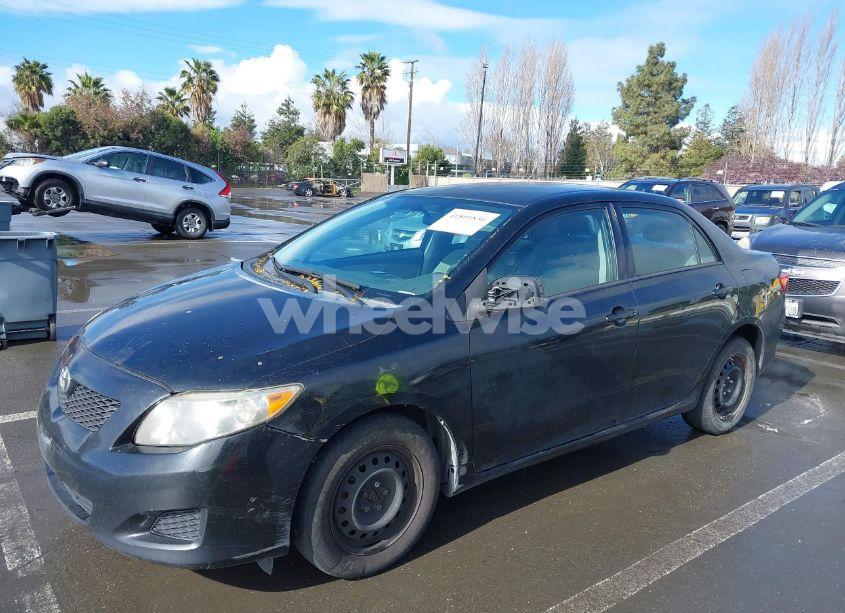 Photo 6 of 2010 Toyota Corolla LE (VIN 2T1BU4EE5AC278862)